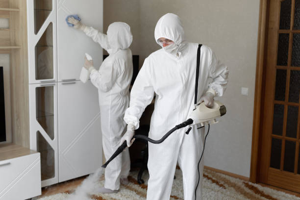 24/7 Emergency Odor Removal experts in Springdale, OH